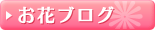 お花ブログ