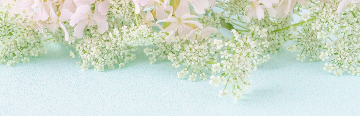 banner mv