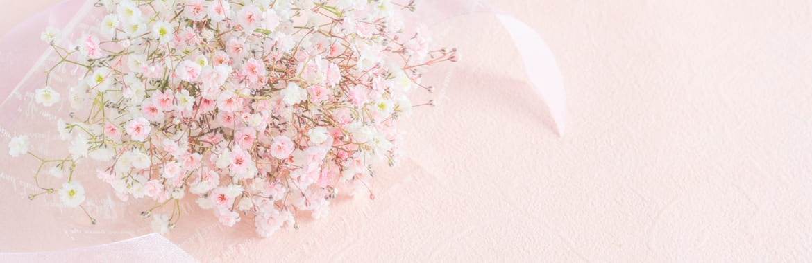 banner mv